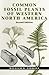 Common Fossil Plants of Western North America