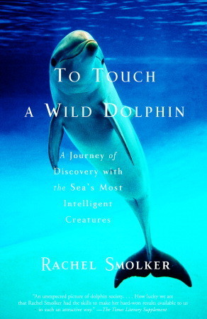 To Touch a Wild Dolphin: A Journey of Discovery with the Sea's Most Intelligent Creatures (Paperback)