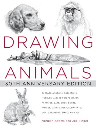 Drawing Animals (Paperback)