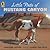 Little Pinto of Mustang Canyon