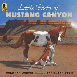 Little Pinto of Mustang Canyon (Paperback)