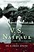 In a Free State by V.S. Naipaul