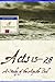 Acts 13-28: A Study of the ...