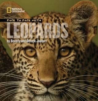 Face to Face with Leopards