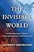 The Invisible World: Understanding Angels, Demons, and the Spiritual Realities That Surround Us