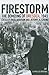 Firestorm: The Bombing of Dresden, 1945