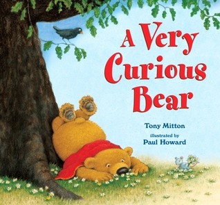 A Very Curious Bear (Hardcover)