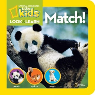 Match (Board Book)