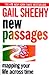 New Passages: Mapping Your ...
