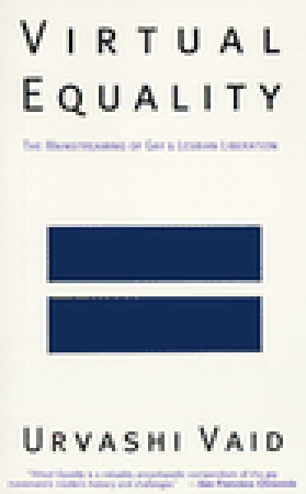 Virtual Equality: The Mainstreaming of Gay and Lesbian Liberation (Stonewall Book Award Winner)