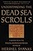 Understanding the Dead Sea Scrolls: A Reader from the Biblical Archaeology Review