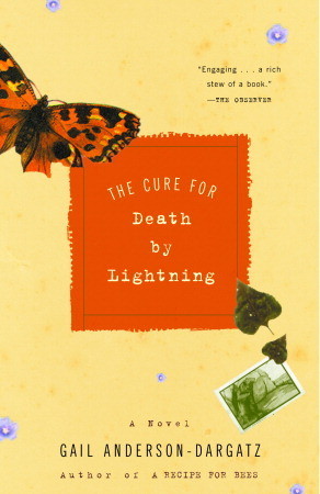 Capa do Livro The Cure for Death by Lightning