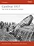 Cambrai 1917 by Alexander Turner