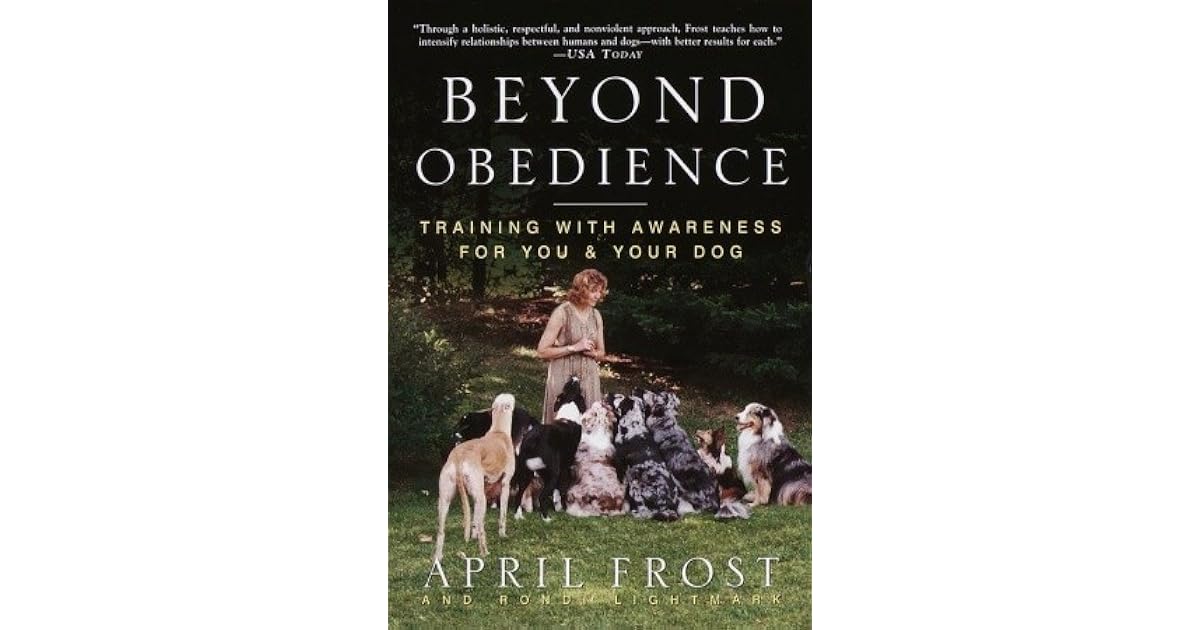 beyond obedience dog training