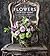 Flowers for the Home: Inspi...