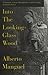 Into The Looking-Glass Wood: Essays on Words and the World
