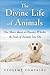 The Divine Life of Animals: One Man's Quest to Discover Whether the Souls of Animals Live On