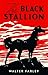 The Black Stallion by Walter Farley