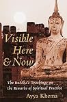 Visible Here and Now: The Buddha's Teachings on the Rewards of Spiritual Practice Visible Here and Now: The Buddha's Teachings on the Rewards of Spiritual Practice