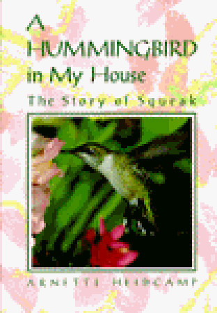 A Hummingbird in My House: The Story of Squeak (Hardcover)