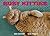 Busy Kitties (A Busy Book)