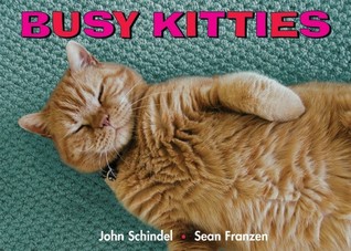 Busy Kitties (A Busy Book)