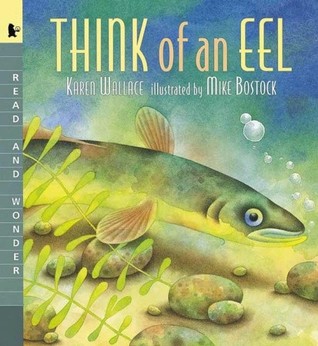 Think of an Eel (Big Book, Read and Wonder)