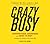 Crazybusy: Overstretched, Overbooked, and About to Snap! Strategies for Coping in a World Gone ADD