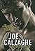 No Ordinary Joe: The Autobi...