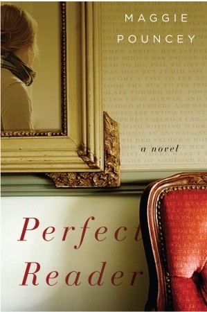 Perfect Reader (Hardcover)