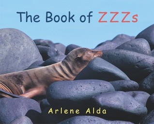 The Book of ZZZs (Hardcover)