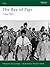 The Bay of Pigs: Cuba 1961 ...