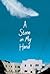 A Stone in My Hand by Cathryn Clinton