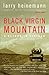 Black Virgin Mountain by Larry Heinemann
