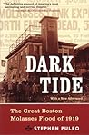 Dark Tide by Stephen Puleo