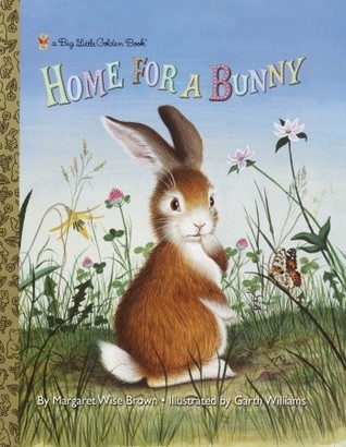 Home for a Bunny (Hardcover)