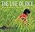 The Life of Rice: From Seed...