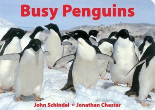 Busy Penguins (A Busy Book)