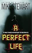 A Perfect Life