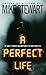 A Perfect Life by Mike Stewart