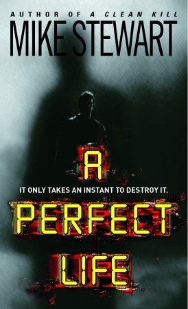 A Perfect Life (Paperback)