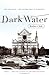Dark Water by Robert   Clark
