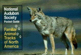 National Audubon Society Pocket Guide: Familiar Animal Tracks of North America (Paperback)