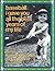 Baseball I Gave You All the Best Years of My Life by Richard Grossinger