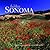 Hidden Sonoma by Wes Walker