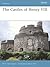 The Castles of Henry VIII by Peter  Harrington