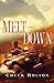Meltdown (Task Force Valor #3)