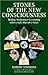 Stones of the New Consciousness by Robert Simmons