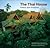 Thai House: History And Evolution