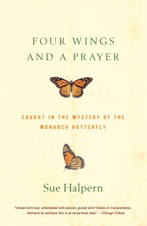 Four Wings and a Prayer: Caught in the Mystery of the Monarch Butterfly